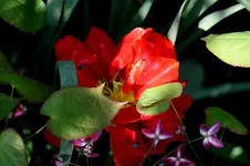 IMG_1848.webp