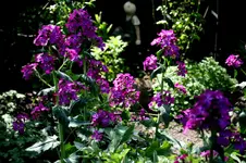 IMG_1852.webp