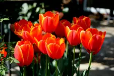 IMG_1857.webp