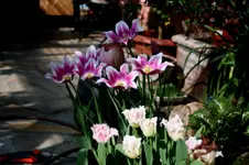 IMG_1858.webp