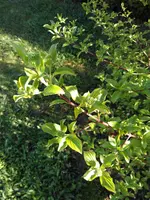 IMG_20170410_165327.webp