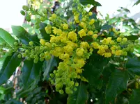 P1000445.webp