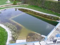 CIMG3789.webp CIMG3789.webp