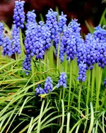 2017-04-08-1177.webp
