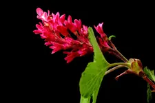2017-04-08-1192.webp