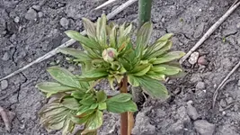 20170410_191046.webp