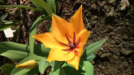 IMG-20170409-WA0009.webp