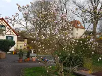 20170410_191440.jpg
