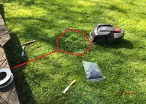 G_Rasen_Rasenmähroboter_Gänseblümchen_Blumeninsel Schaltung__10.04.2017_mr.ditsch.webp