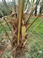 IMG-20170409-WA0000.webp