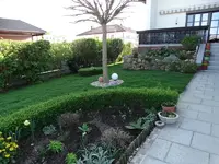 DSC09246.webp