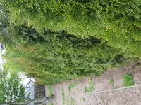 20170411_091413.jpg