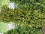 20170411_091425.jpg