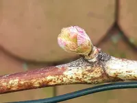 20170411_103646.jpg