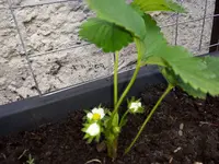 20170411_105323.webp