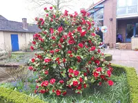 20170411_103601.webp