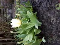 20170411_105025.webp