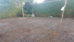 20161008_083231.jpg