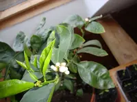 DSC04033.JPG