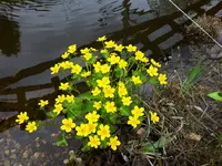 20170411_160929.jpg