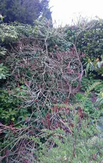 IMG_20170411_190308.webp