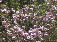 BILD6338.webp