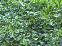 BILD6334.webp