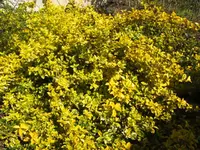 BILD6346.webp