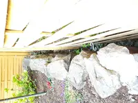 20170411_193151.webp