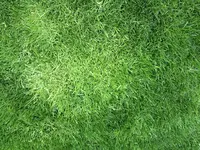 1 164.webp