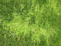 1 163.webp