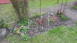 170405            Beet an der Westflanke.jpg