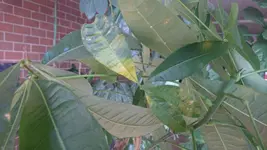 PHOTO_20170412_164141.webp