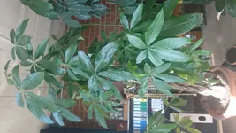 PHOTO_20170412_164206.webp
