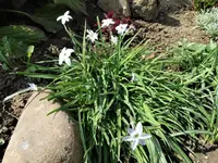 DSC09273.webp
