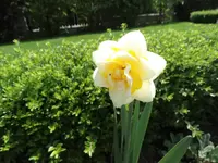 DSC09276.webp