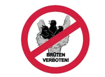 Vögel.webp