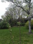IMG_20170412_193606.jpg