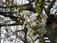 IMG_7722.webp