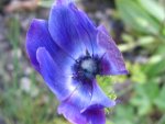 IMG_7739.JPG