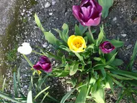 IMG_7732.webp