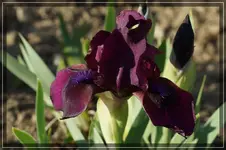 comp_DSC03026.webp