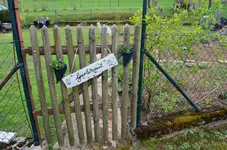 DSC_0684.webp