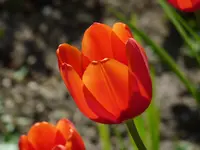 P1240727.webp