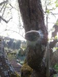 IMG_20170402_173529.jpg