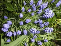 Bilda014.webp