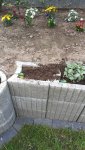 IMG-20170413-WA0000.jpg