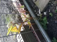 image.webp
