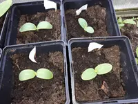 20170413_163147.webp