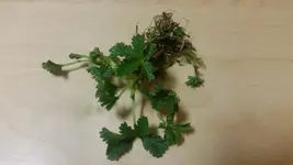 20170413_210832.webp